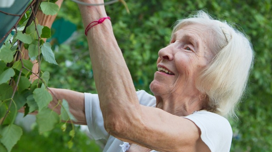 Instituto Tobías
