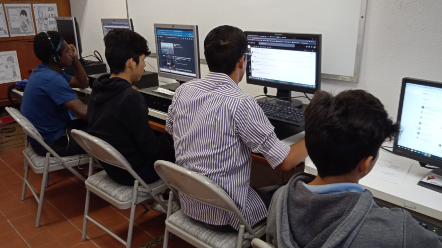 Cursos Bambi