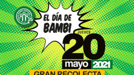 Gran REcolecta-Bambi
