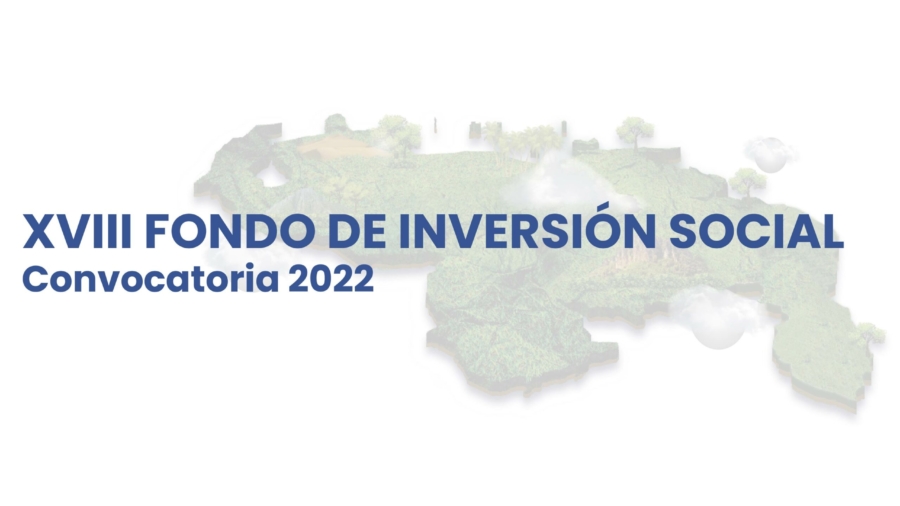 FIS2021 Convocatoria_PiezasWeb_NDP_Lanzamiento