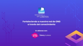 Portal VsL NDP web Udemy